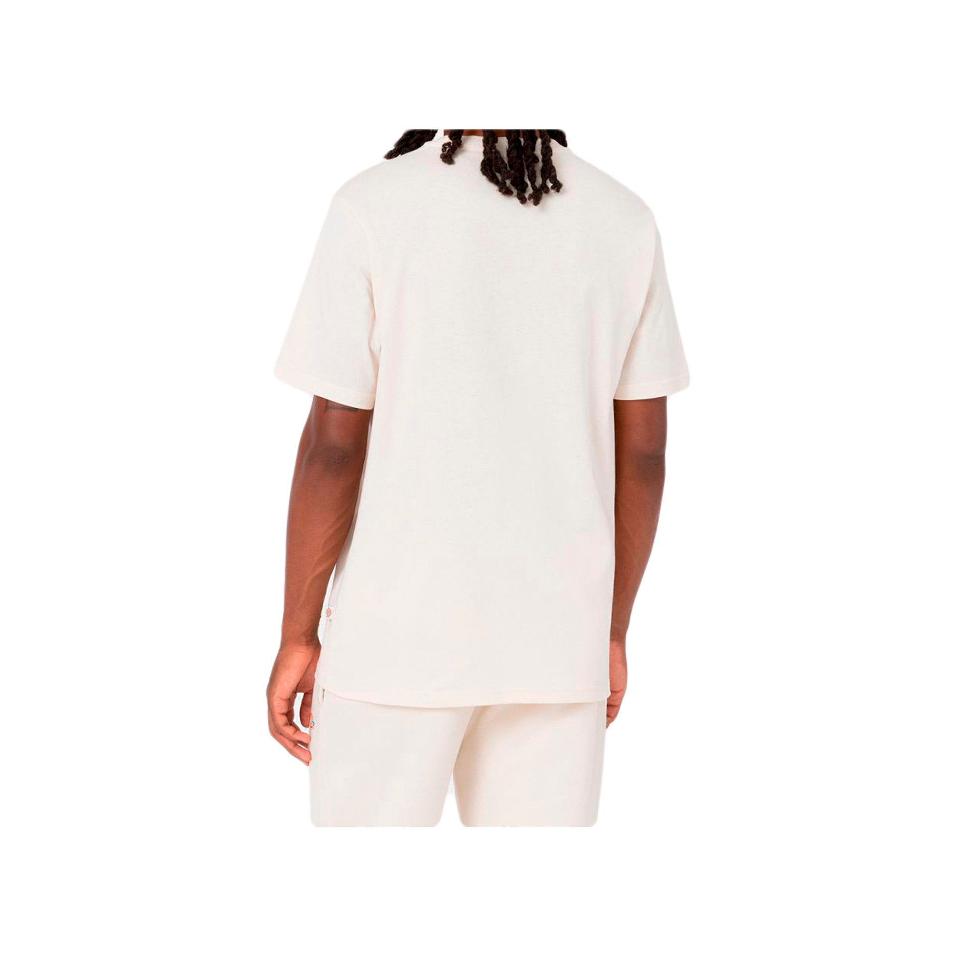 Dickies Camiseta Hombre SS MAPLETON T-SHIRT vista trasera Dickies Camiseta Hombre SS MAPLETON T-SHIRT vista trasera