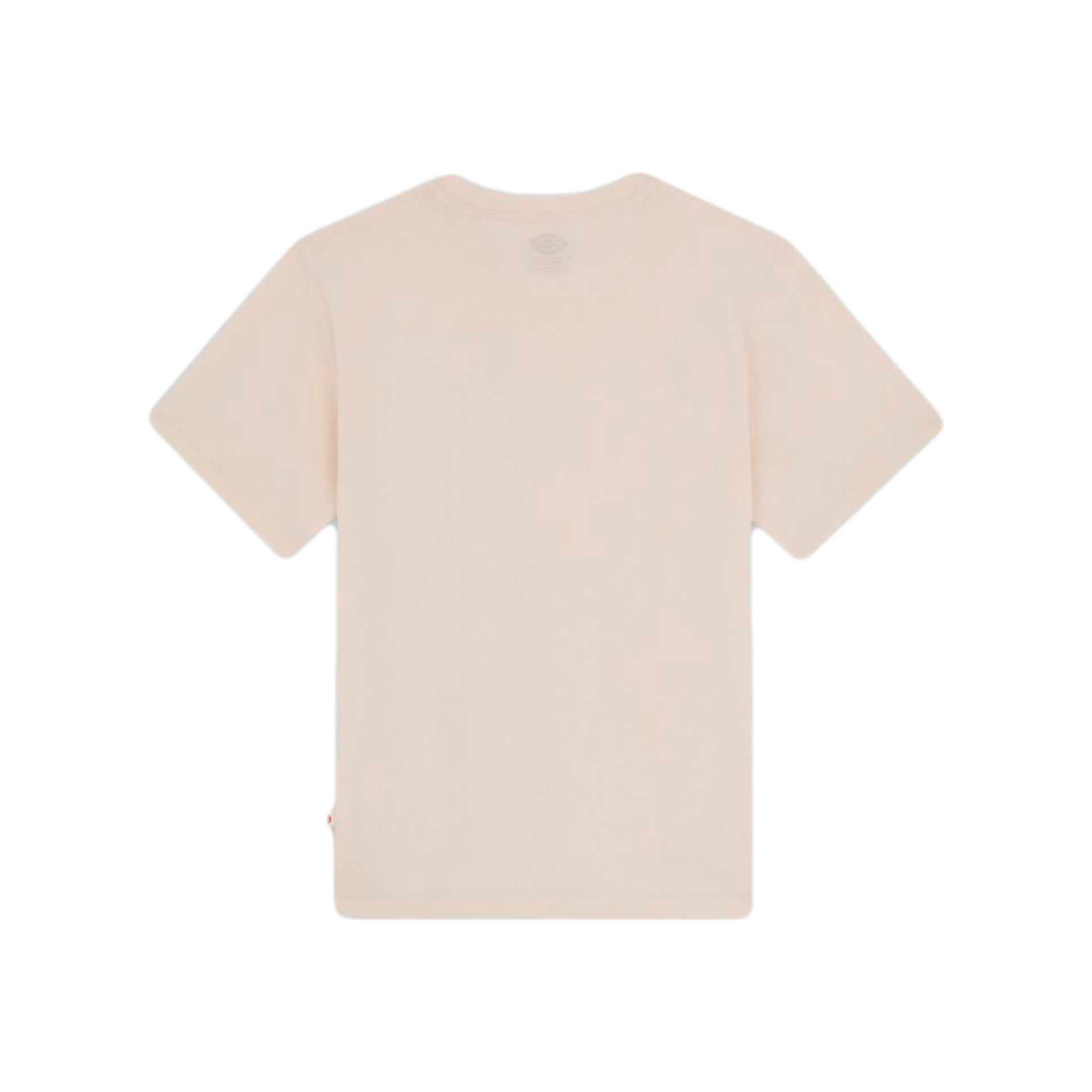 Dickies Camiseta Hombre SS MAPLETON T-SHIRT 06 Dickies Camiseta Hombre SS MAPLETON T-SHIRT 06