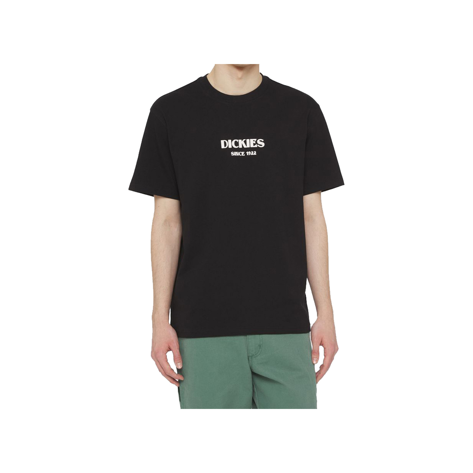 Dickies Camiseta Hombre MAX MEADOWS TEE SS vista frontal Dickies Camiseta Hombre MAX MEADOWS TEE SS vista frontal