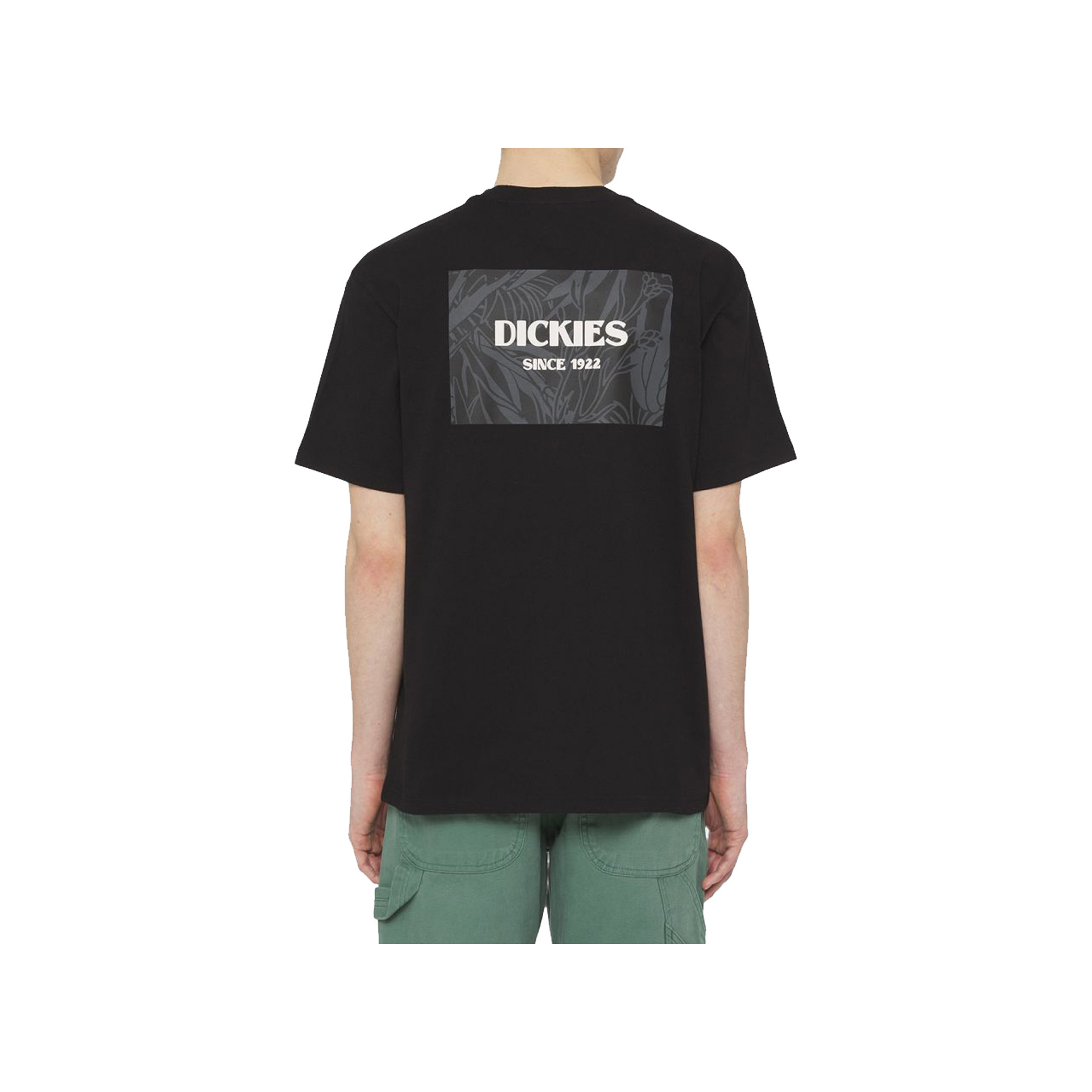 Dickies Camiseta Hombre MAX MEADOWS TEE SS vista trasera Dickies Camiseta Hombre MAX MEADOWS TEE SS vista trasera