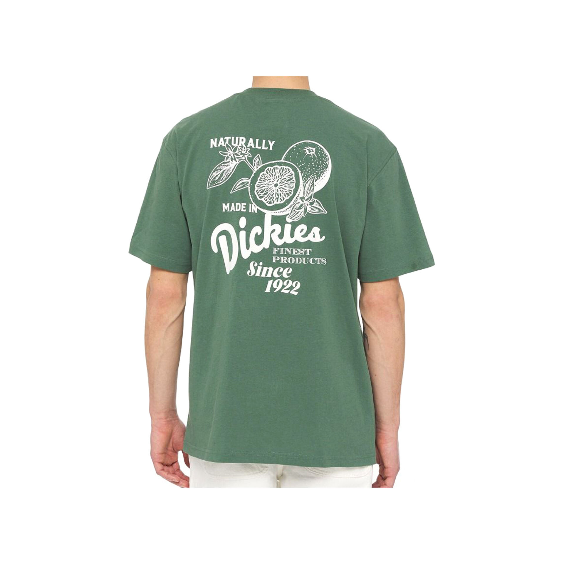 Dickies Camiseta Hombre RAVEN TEE SS vista trasera Dickies Camiseta Hombre RAVEN TEE SS vista trasera