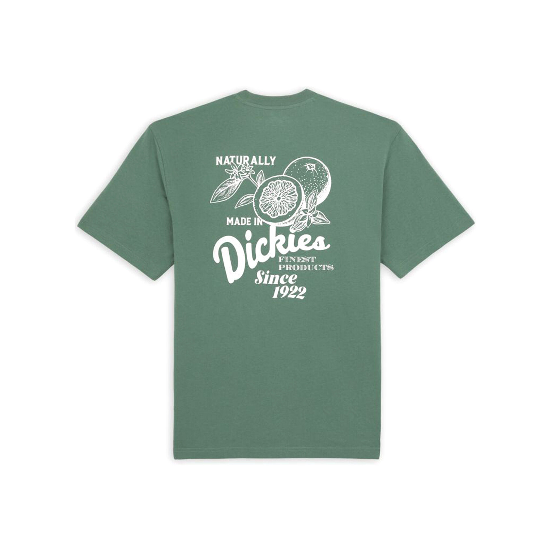 Dickies Camiseta Hombre RAVEN TEE SS 04 Dickies Camiseta Hombre RAVEN TEE SS 04