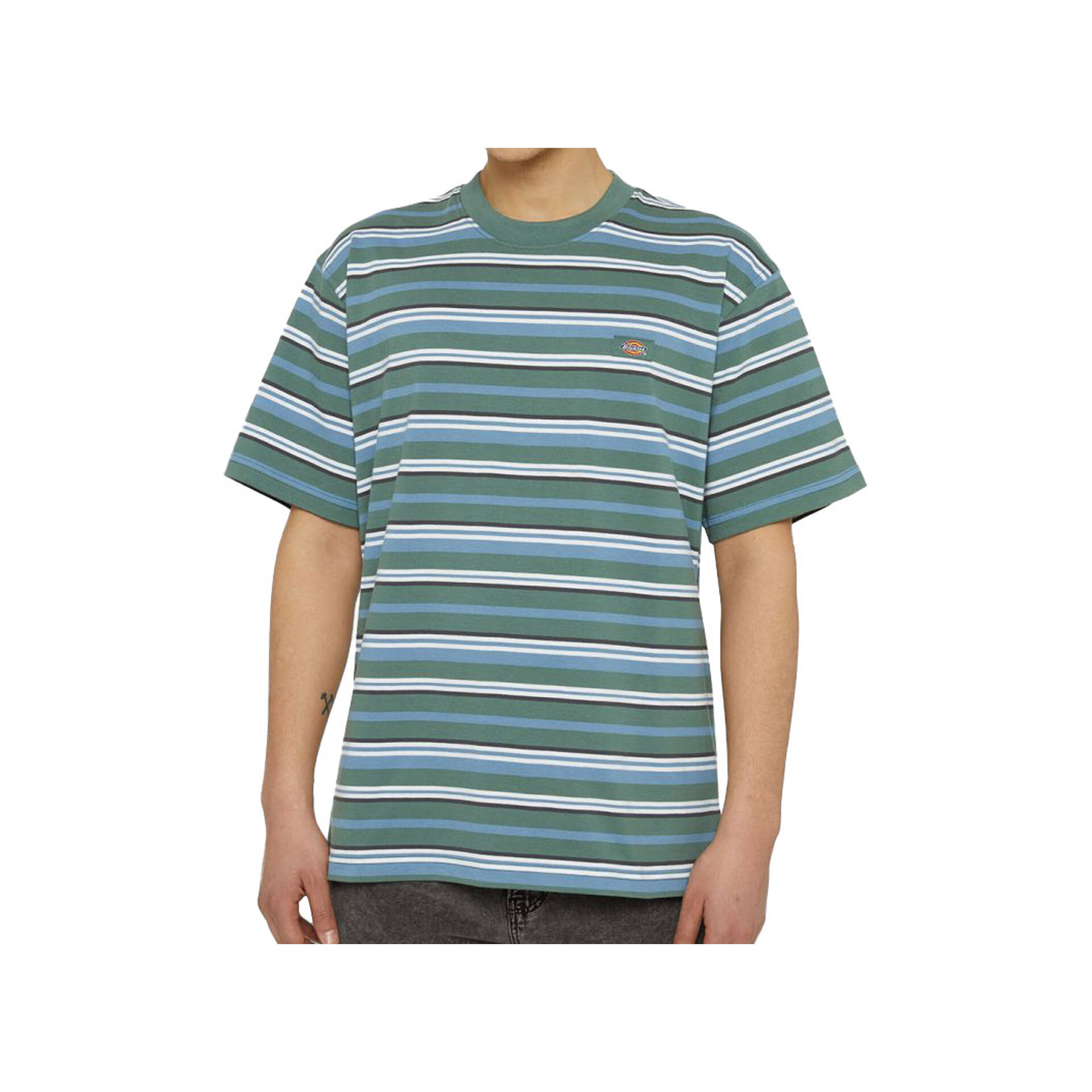 Dickies Camiseta Hombre GLADE SPRING SHIRT LS VERTCL YD vista frontal Dickies Camiseta Hombre GLADE SPRING SHIRT LS VERTCL YD vista frontal