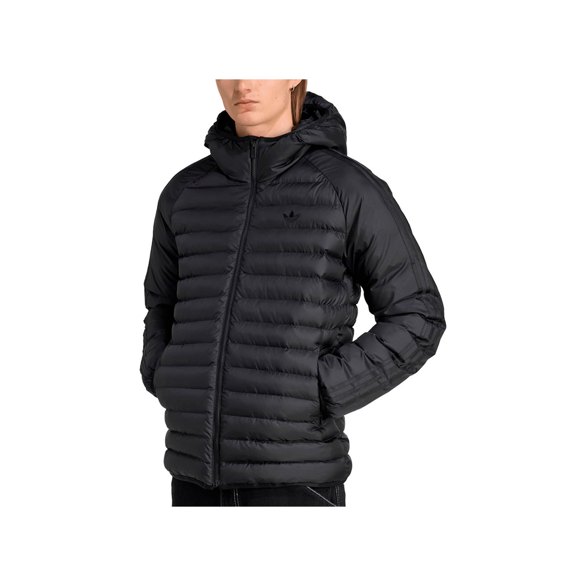 Adidas pad hooded jkt Chaqueta Hombre