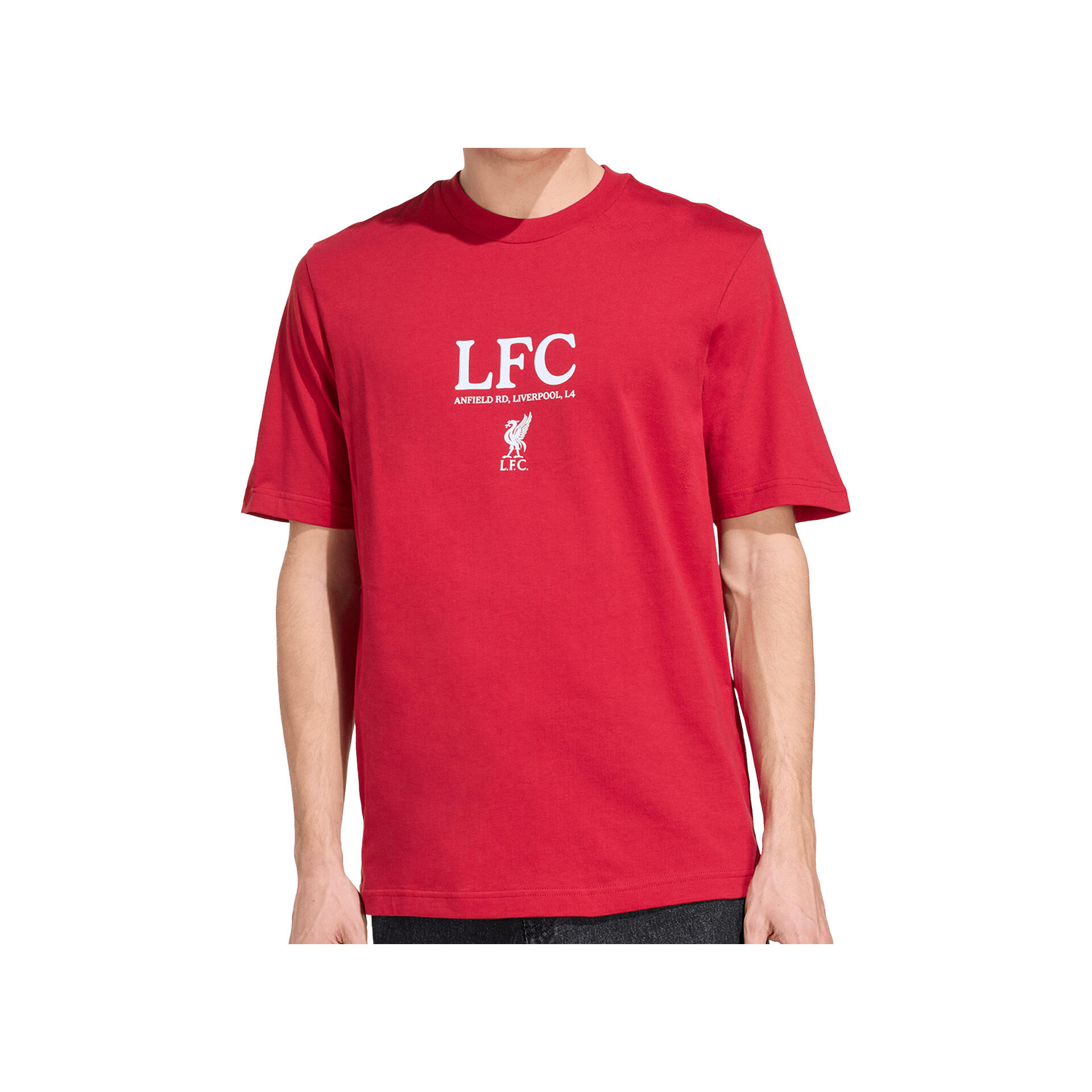 Adidas lfc gr tee Camiseta Hombre