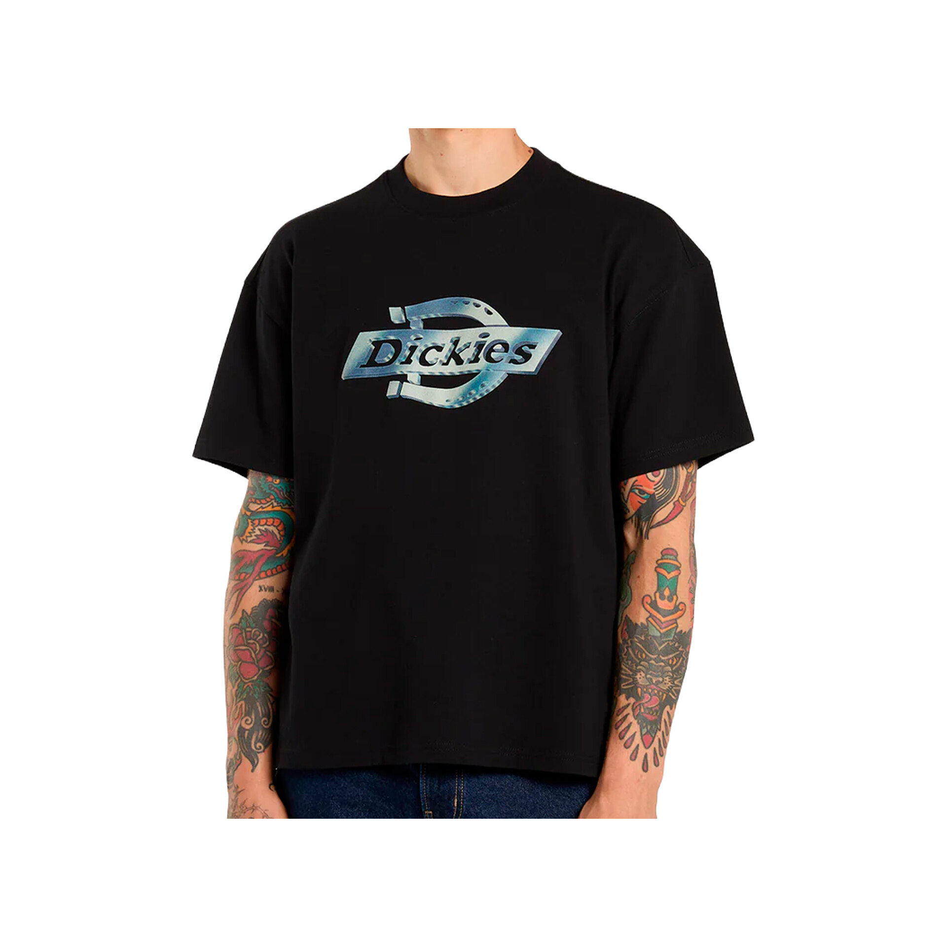 Dickies rarden ss tee black Camiseta Hombre